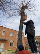 "Мой чистый и зеленый город"