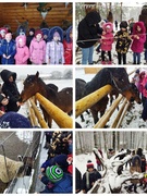 Полезные каникулы. Экскурсия в НП "Припятский" аг.Лясковичи в сафари-парк