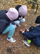 Осенняя прогулка «Золотая осень» в рамках проекта «Зеленая школа»