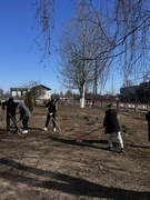 21.03.2026. День трудового воспитания и профессиональной ориентации