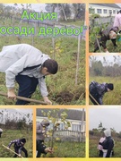 Акция "Посади дерево!"