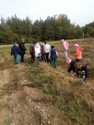 Акция "Посади дерево"