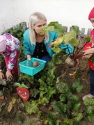 «В огород пойдем, урожай соберем!»