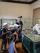 Посещение воспитанниками разновозрастной группы выставки "Мир больших попугаев" (24.07.2025)