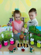 Наш чудесный огород всем здоровья принесет, витамины подрастают, и ребят всех угощают!