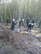 Акция "Посади дерево"