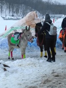 "Зимние старты 2018"