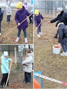 06.11.2025 Трудовой десант " Убираем жёлтый лист "