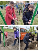 Учащиеся 7 и 8 классов приняли участие в акции "Посади дерево" возле памятника "Смугнар"