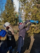 Прогулка, кормим птиц.