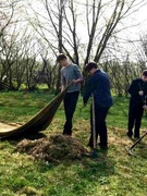 Акция "Пришкольный участок"