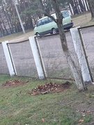Районный субботник, 29.10.2022. Посадка цветов и деревьев