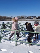 Воспитательно - оздоровительный лагерь "Снежные забавы"