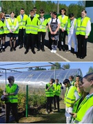 Профориентационная экскурсия в Петриковский лесхоз