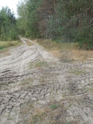 Дзень турыста «Усім класам ў паход!»