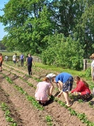 Трудовая практика
