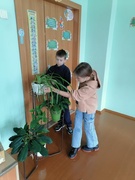 Трудовой десант