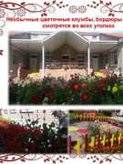 Цвети мой край