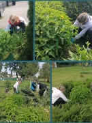 Трудовая практика
