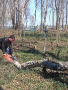 Республиканский субботник. Благоустройство кладбища агр. Стреличево
