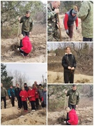 22.03.2025 В нашей школе прошла  акция,приуроченная  Году благоустройства  и 80-летия Победы в Великой Отечественной войне "Дай лесу вторую жизнь"