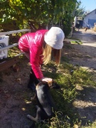 Акция ,,Доброе сердце"