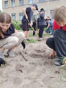 Працоўны дэсант на школьны агарод