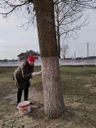 Субботник
