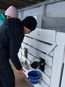 Экскурсия в СУП «Полесье‑агроинвест» МТФ «Оголичи»