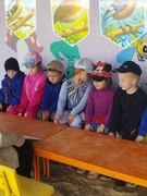 Виды бабочек. Наблюдение в рамках проекта "Зеленая школа"