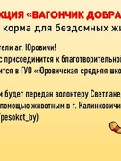 25.01.2023 члены тимуровского отряда "Единство" создали и развесили информационные листовки о проведении акции "Вагончик добра"