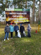 Чистый лес