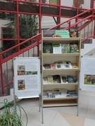 Предметная неделя естественных дисциплин