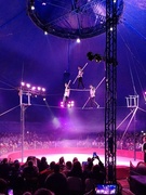 Паездка ў цырк!