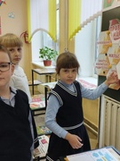 Мероприятия ко Дню Конституции