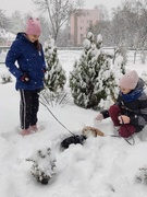 Медленно начал падать снег. Закружились первые хлопья