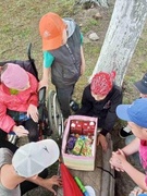 Игра "12 записок"