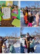 "ЛАКОМСТВО ДЛЯ ПТИЦ"