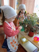 Працоўная дзейнасць