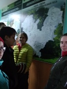Волколатское лесничество