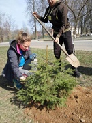 Рэспубліканскі суботнік