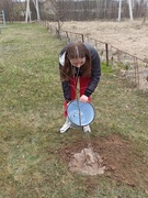 Акция "Посади дерево"