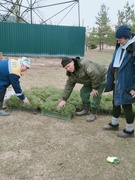 Неделя леса