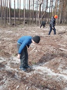 Акция "Посади дерево"