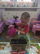 Огород на окошке, разновозрастная группа