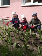 Першацветы на тэрыторыі дзіцячага сада