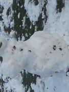 Первый снег