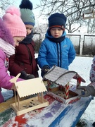 Изготовление кормушек и организация подкормки птиц зимой. Чем можно кормить птиц зимой.