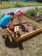 "Мы сажали огород". Организация труда детей