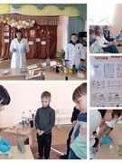 Неделя химии